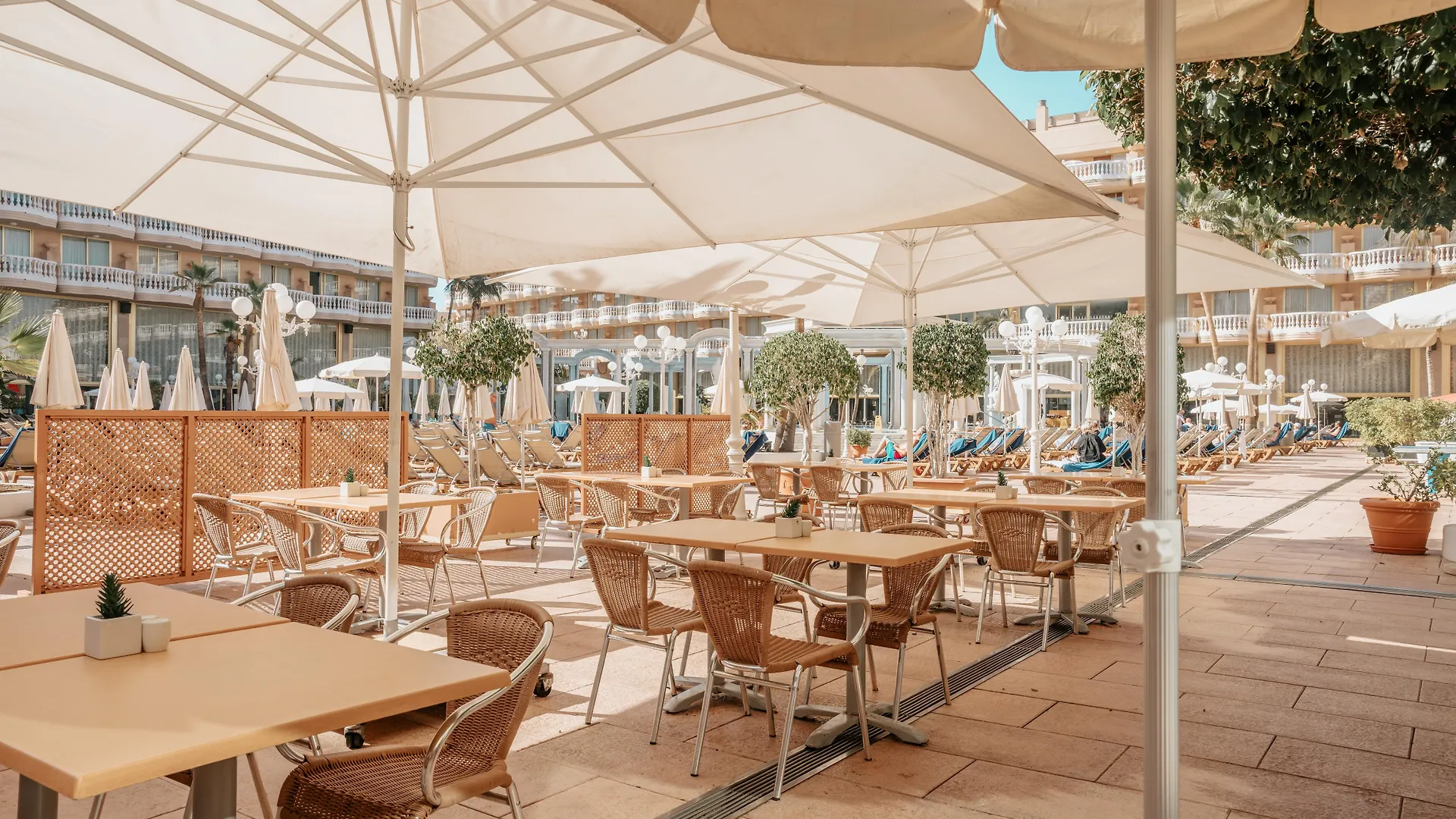 Hotel Cleopatra Palace Playa de las Americas  4*, Playa de las Americas (Tenerife)